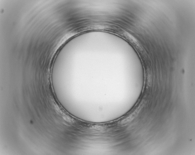 X0000088611178200706221423