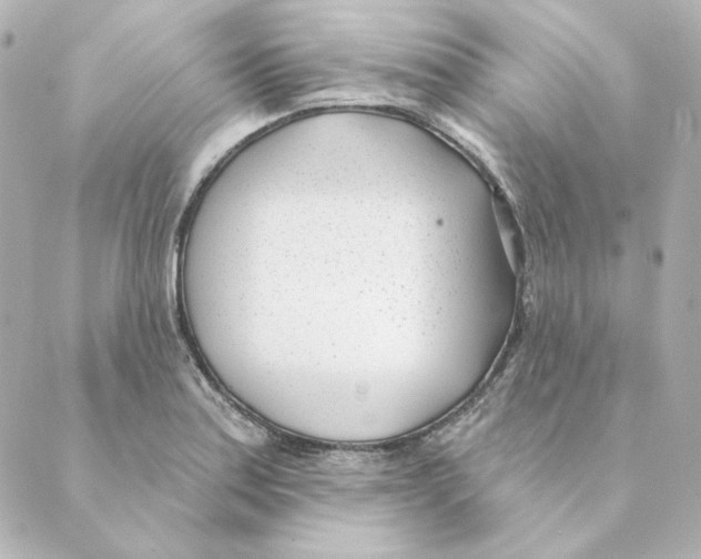 X0000088611179200706221423