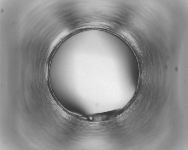 X0000088611180200706221423