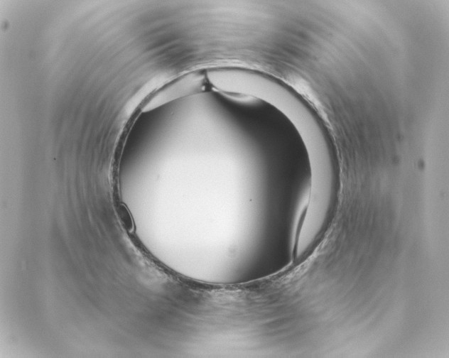 X0000088611181200706221423