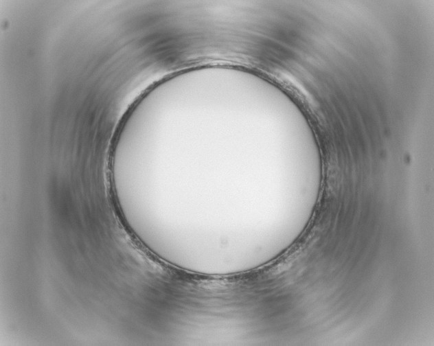 X0000088611182200706221423