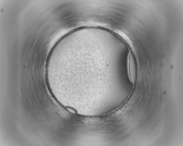 X0000088611183200706221423