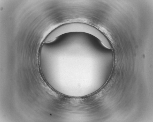 X0000088611184200706221423