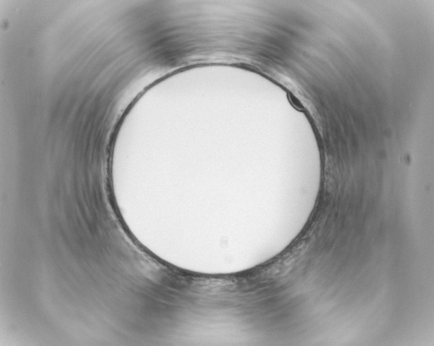 X0000088611187200706221423