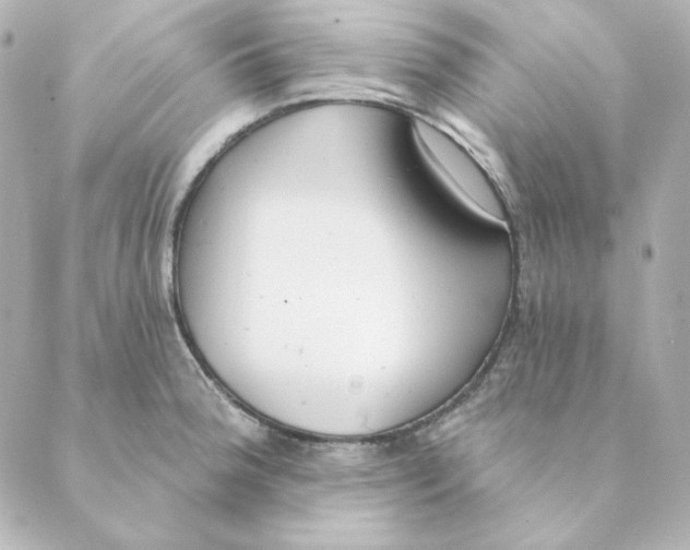 X0000088611188200706221423