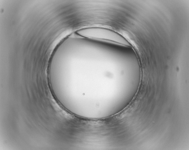 X0000088611189200706221423