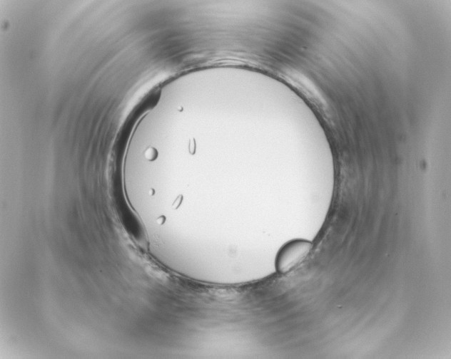 X0000088611190200706221423