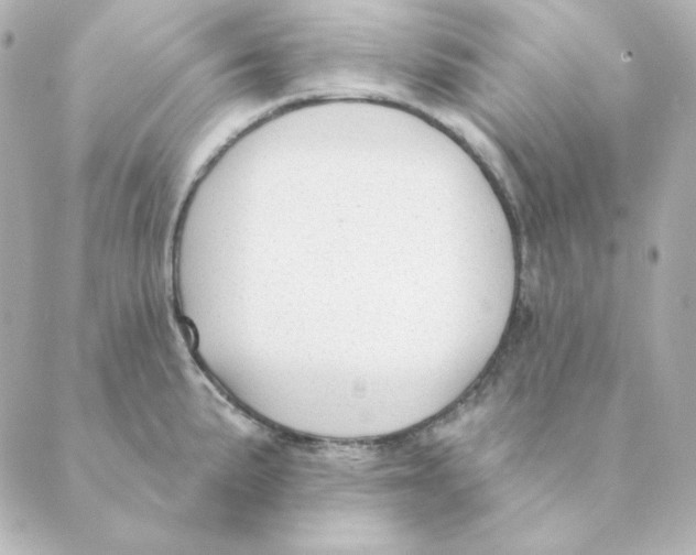 X0000088611191200706221423