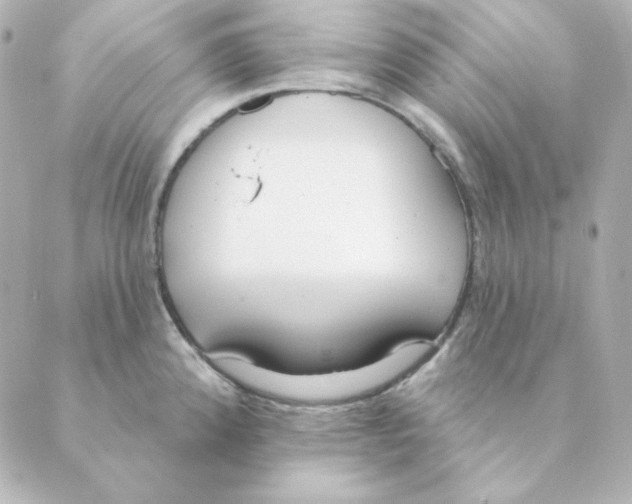 X0000088611192200706221423