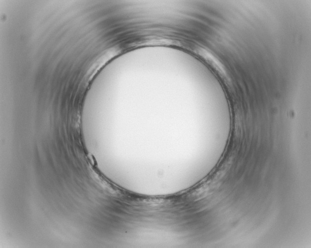 X0000088611193200706221423