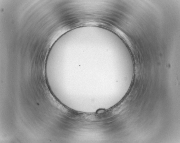 X0000088611194200706221423