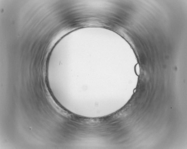 X0000088611195200706221423