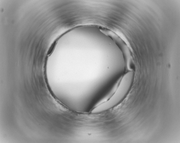 X0000088611197200706221423