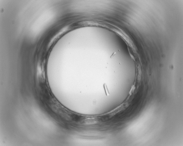 X0000088611198200706221423