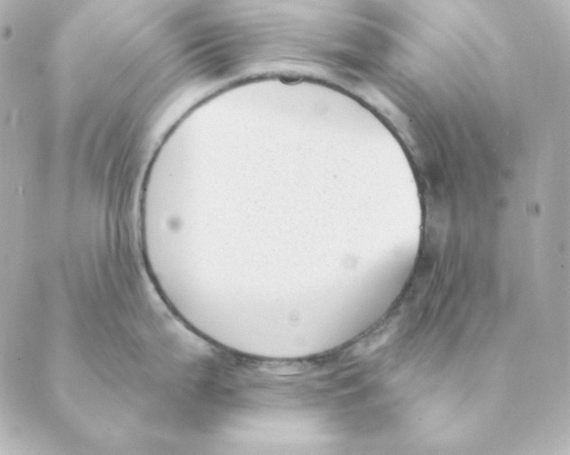 X0000088611199200706221423