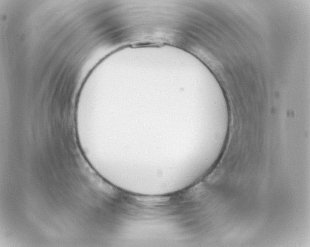 X0000088611200200706221423