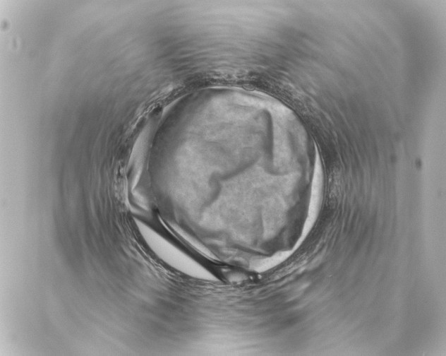 X0000088611202200706221422