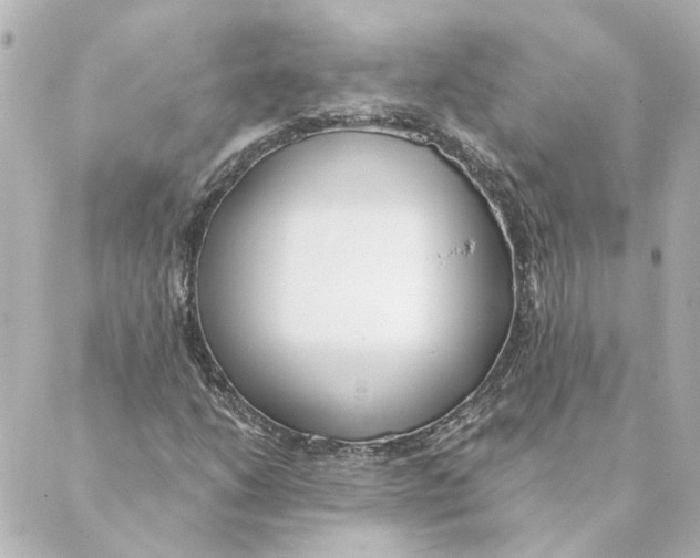 X0000088611206200706221422