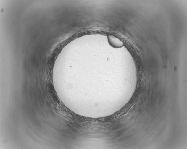 X0000088611207200706221422