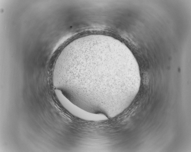 X0000088611208200706221422