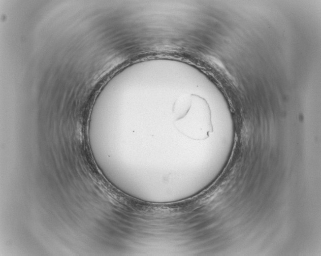 X0000088611209200706221422