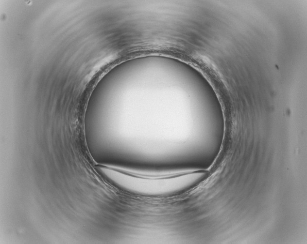 X0000088611210200706221422