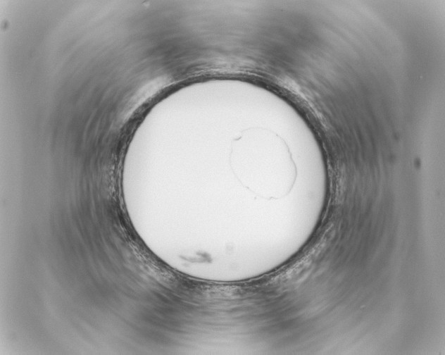 X0000088611211200706221422