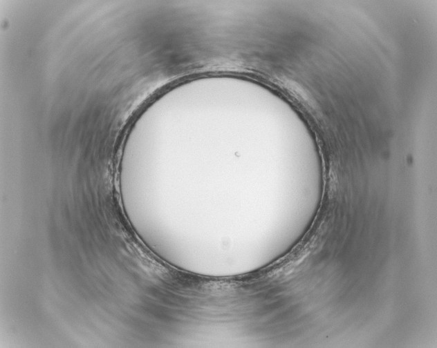 X0000088611212200706221422