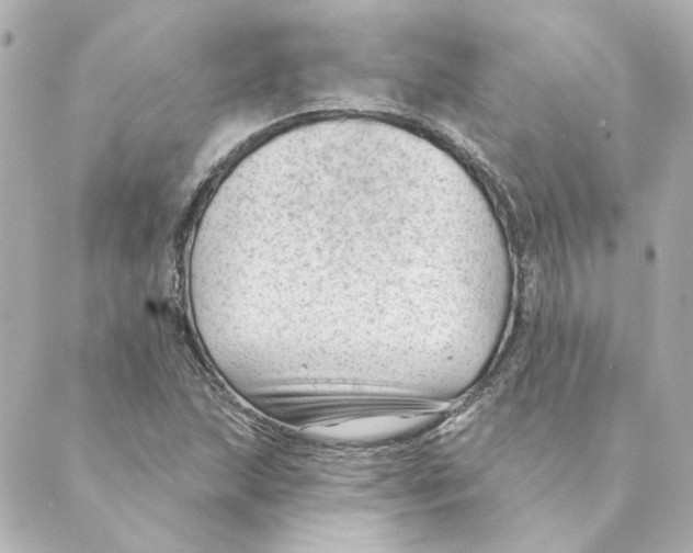 X0000088611215200706221422