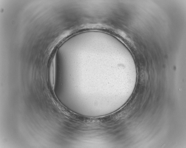 X0000088611221200706221422