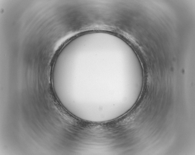 X0000088611222200706221422