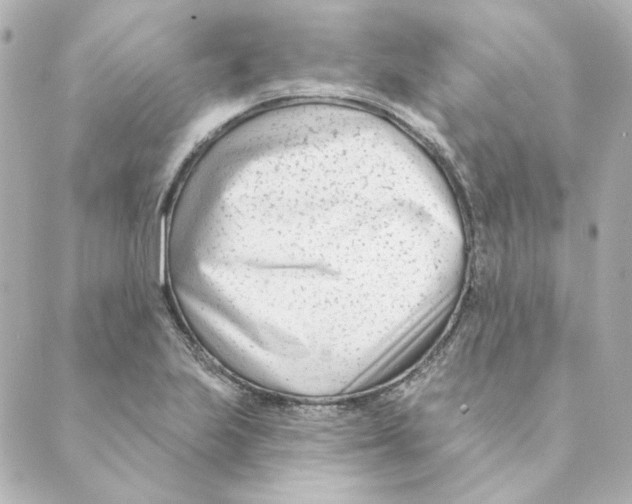 X0000088611223200706221422