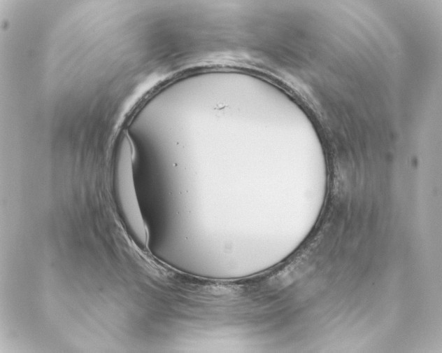 X0000088611224200706221422