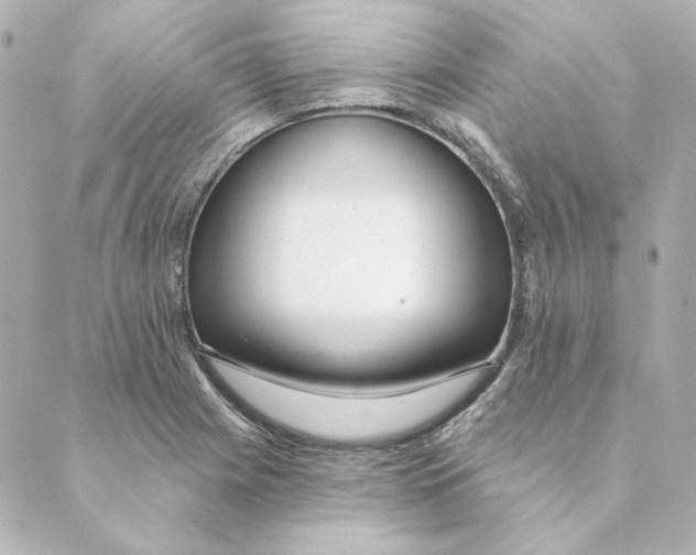 X0000088611225200706221422