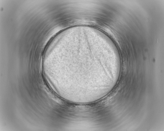 X0000088611227200706221422