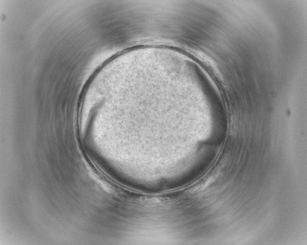 X0000088611231200706221422