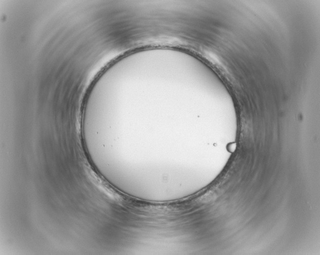 X0000088611232200706221422