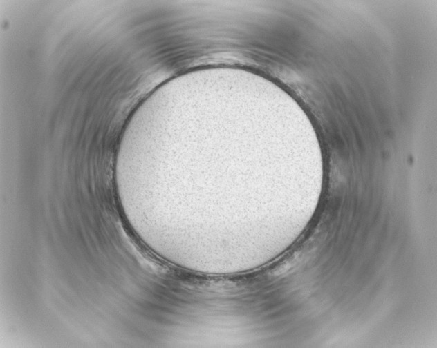 X0000088611233200706221422