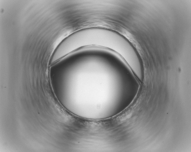 X0000088611234200706221422