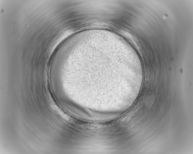 X0000088611235200706221422