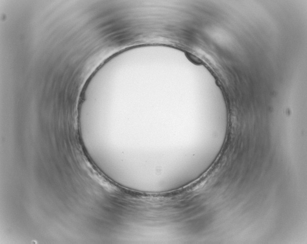 X0000088611236200706221422