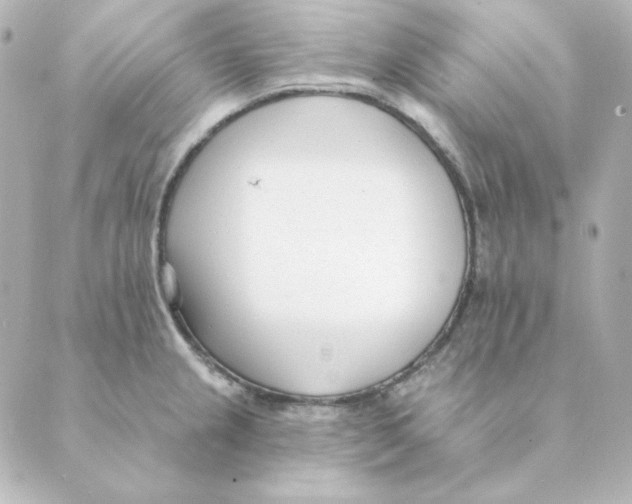 X0000088611237200706221422