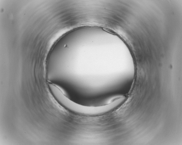 X0000088611238200706221422