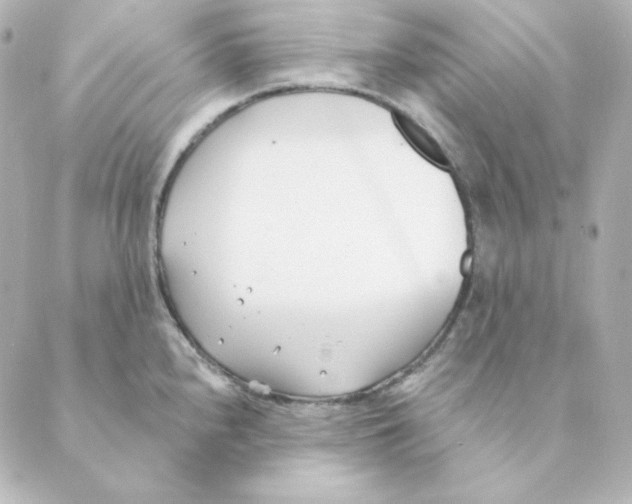 X0000088611240200706221423