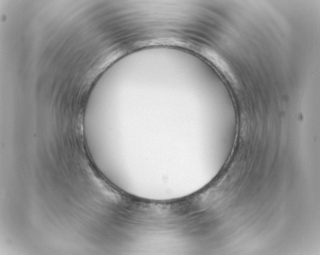 X0000088611241200706221423