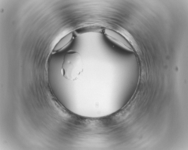 X0000088611242200706221423