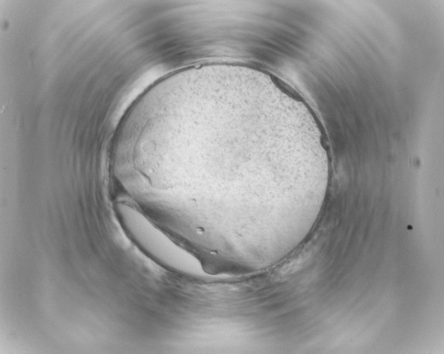 X0000088611243200706221423