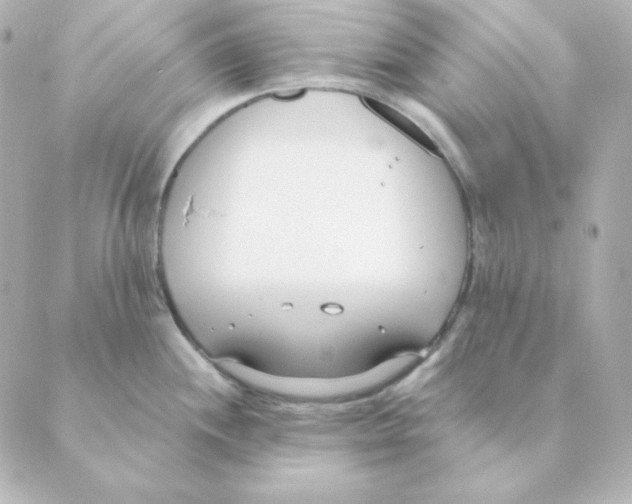 X0000088611244200706221423