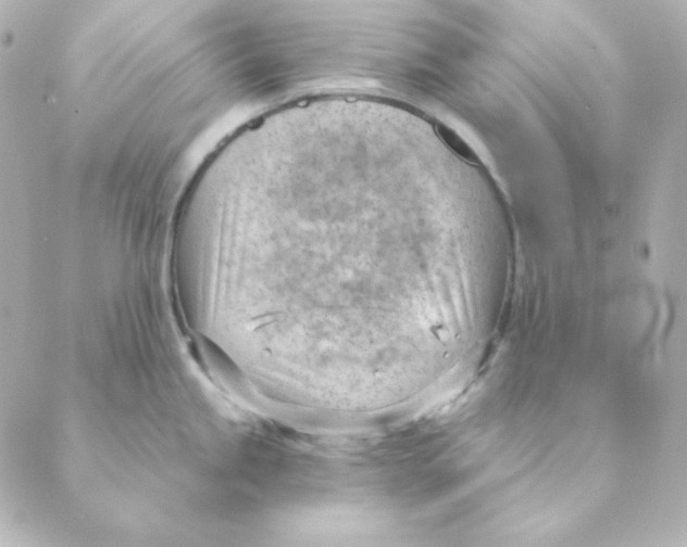 X0000088611245200706221423