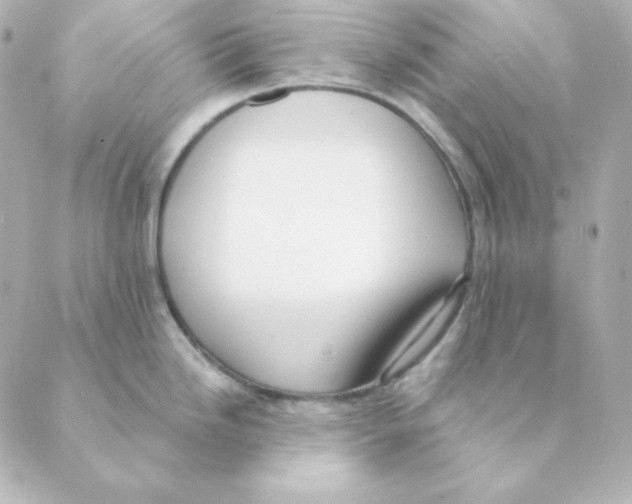 X0000088611246200706221423